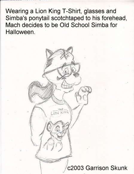 Mach_as_Simba