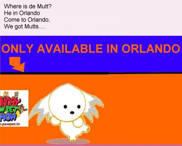 1_final_orlando_pawpet_01