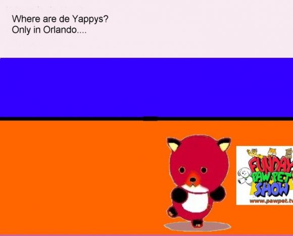 1_final_orlando_pawpet_02