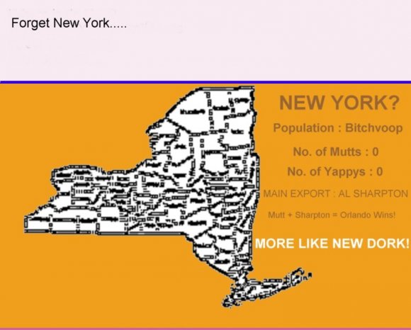 1_final_orlando_pawpet_04