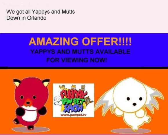 final_orlando_pawpet_03