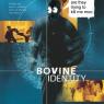 bovine_identity