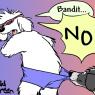 jedd_bandit_no
