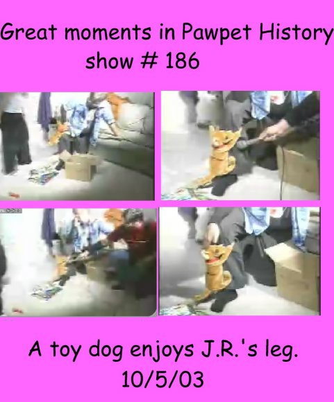 leg_hump_moment_final