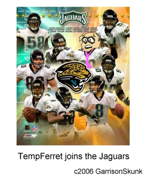 temp_football_final