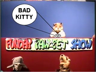 Bad-Kitty
