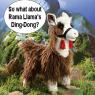 Rama-Llama
