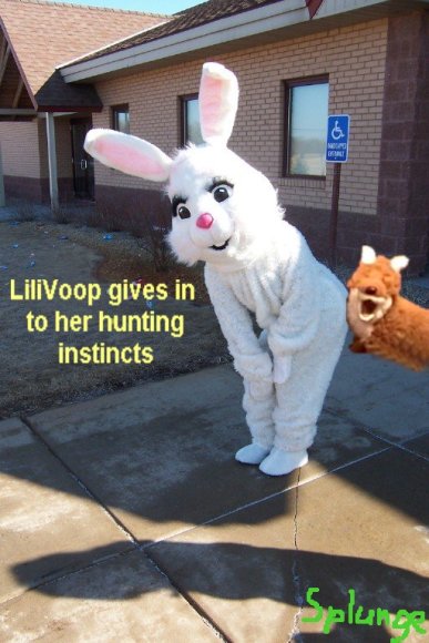 LiliHunting