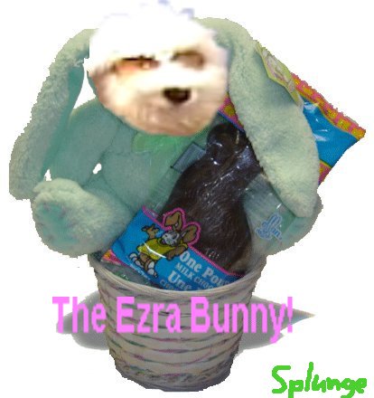 TheEzraBunny