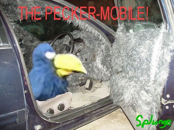 Pecker-mobile