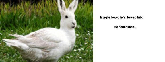 Rabbitduck