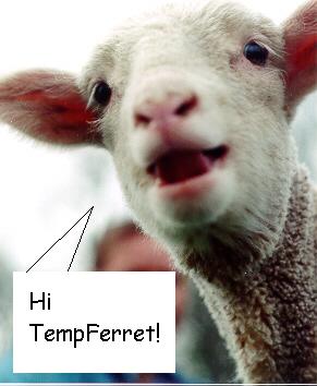 Hi_temp
