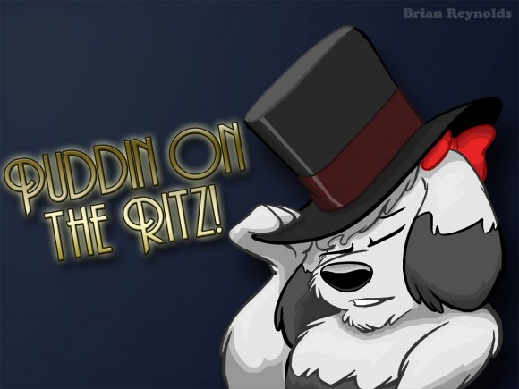 Puddin_classy