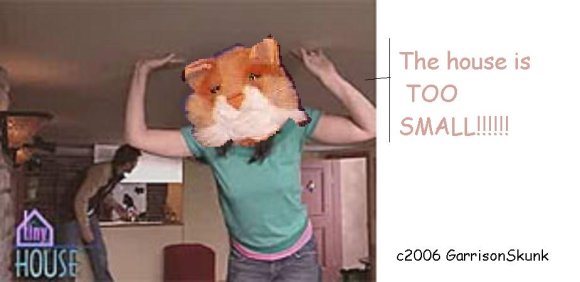 050722_arc_TinyHouse