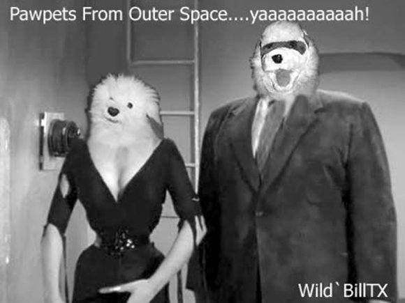 PLAN9PAWPETS