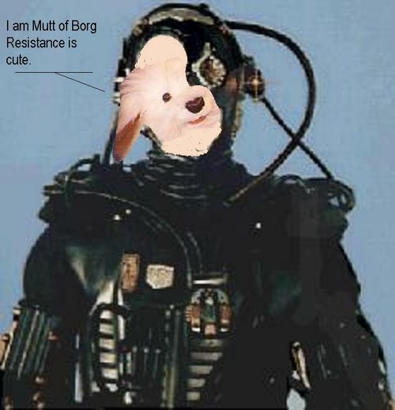 borg