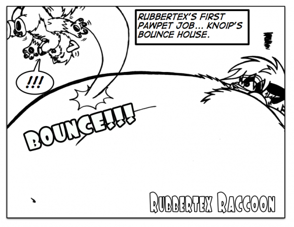 rr-pawpetbouncehouse