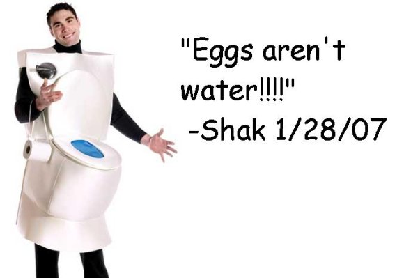 Eggs_arent_water