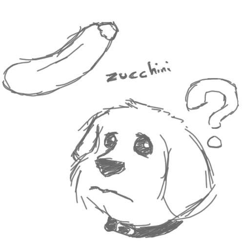 zucchini