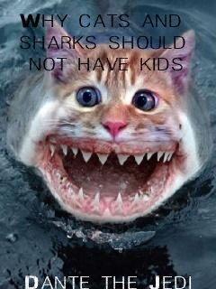 cat+sharks