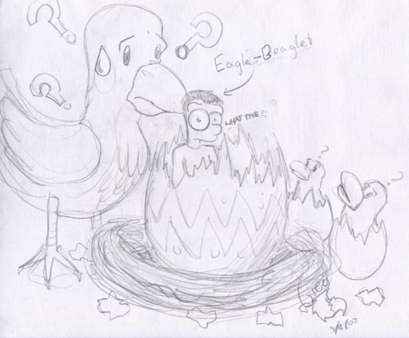 EagleBeaglet