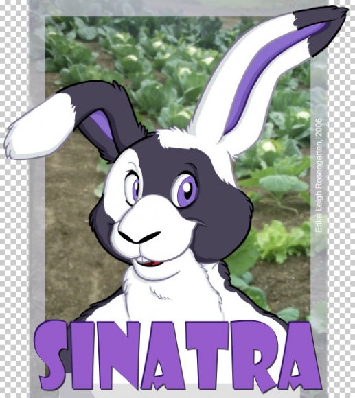 nevermintbadge-SINTATRA-finished-small