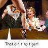 That_aint_no_tiger