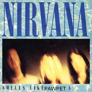 Smells_Like_Teen_Spirit