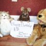 Happy_Birthday_eb