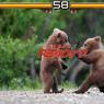 tekken_bears_copy