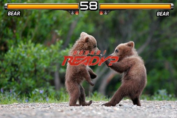 tekken_bears_copy