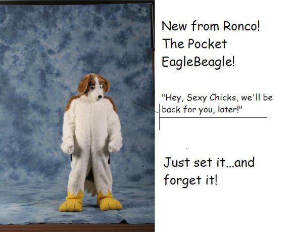 Pocket_EagleBeagle