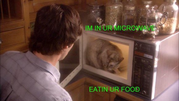 microwave1