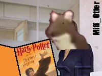 lilly_harry_potter_toilet