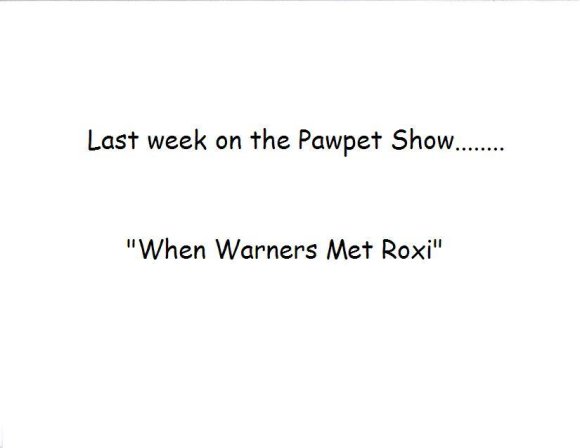 When_Warners_Met_Roxi1