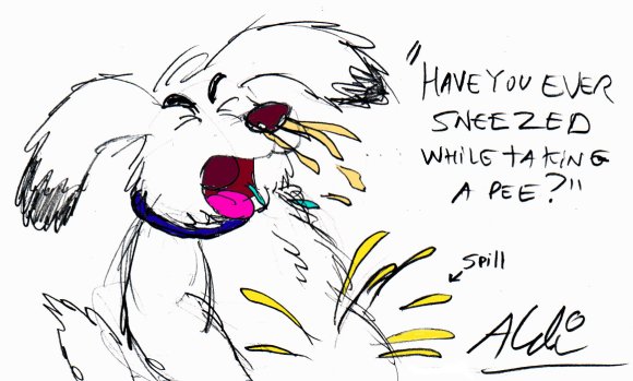 2007-09-30_Mutt_pees_+_sneezes