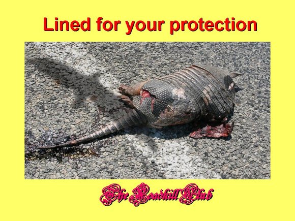 Lined_for_your_protection