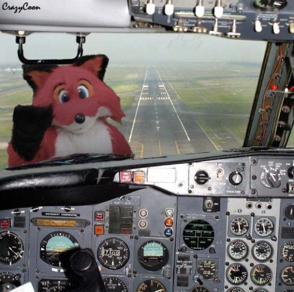 yappyplane2
