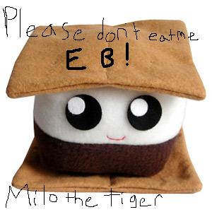 1350_mypaper_smores_full%5b1%5d