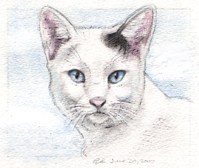 chilly-nekoakuma-color-small