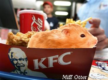 kfc_hampster