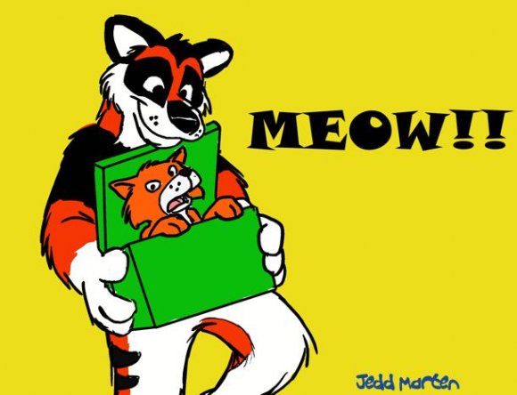 meow_in_the_box