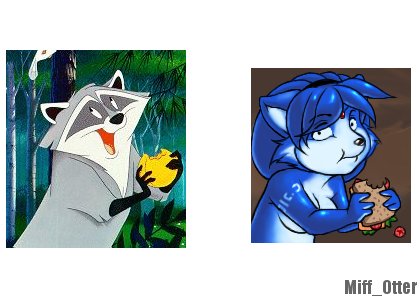 Miff_Otter-meeko_krystal