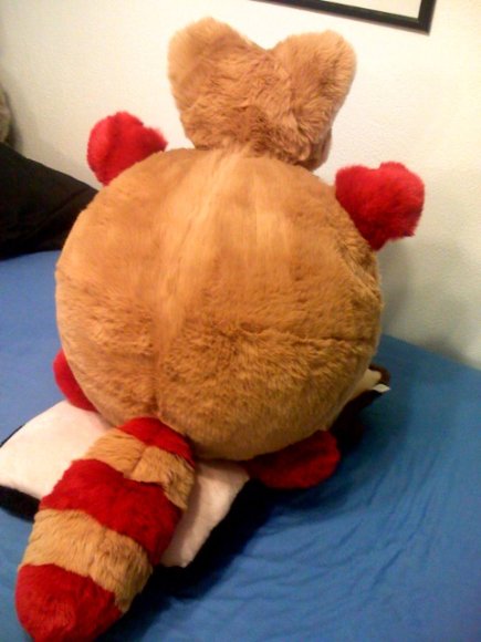 Rubbertex_Raccoon-RR-PlushBack