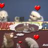 Atkelar-PawPetsInLove-OrNot