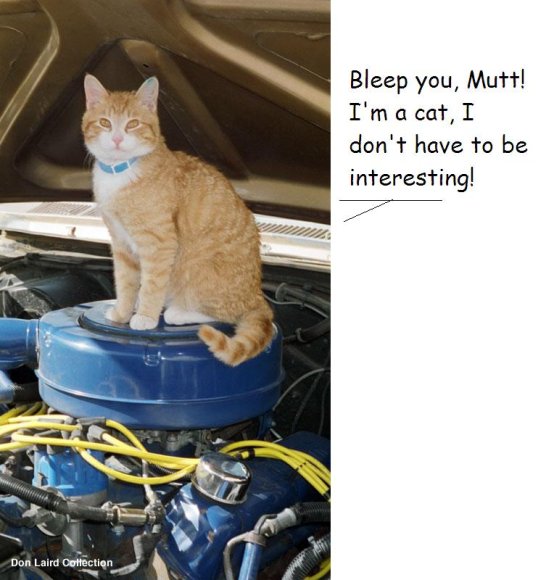 GS-cat_in_the_engine