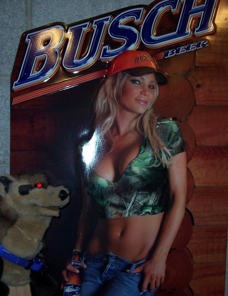 FoxMcCloud-poink_and_babe