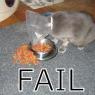Anon.-catfail