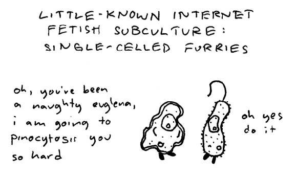 Anon.-little-known-furries