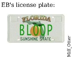 Miff_Otter-ebbloopplate